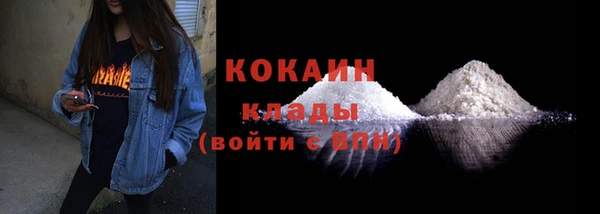 шишки Корсаков