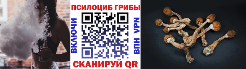 дарнет шоп  Тында  Галлюциногенные грибы ЛСД 